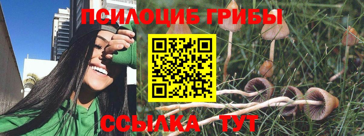 Пермь  Галлюциногенные грибы MAGIC MUSHROOMS  где можно купить   Вход с VPN 